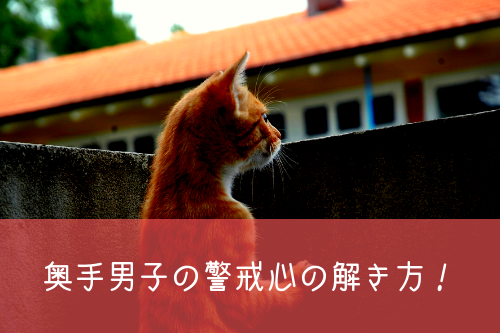 日頃からできる奥手男子の警戒心の解き方とは?