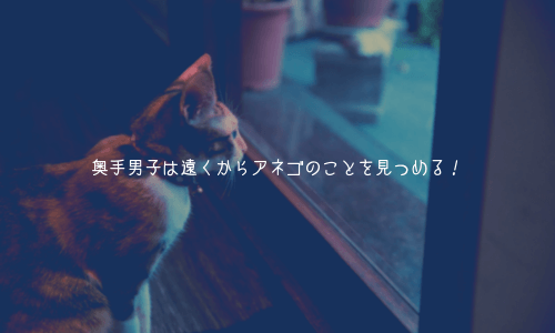 奥手男子は遠くからアネゴのことを見つめる!