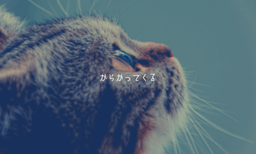 奥手男子の脈あり行動4:からかってくる
