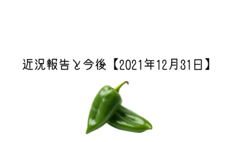 一年間ありがとうございました！近況報告と今後【2021年12月31日】